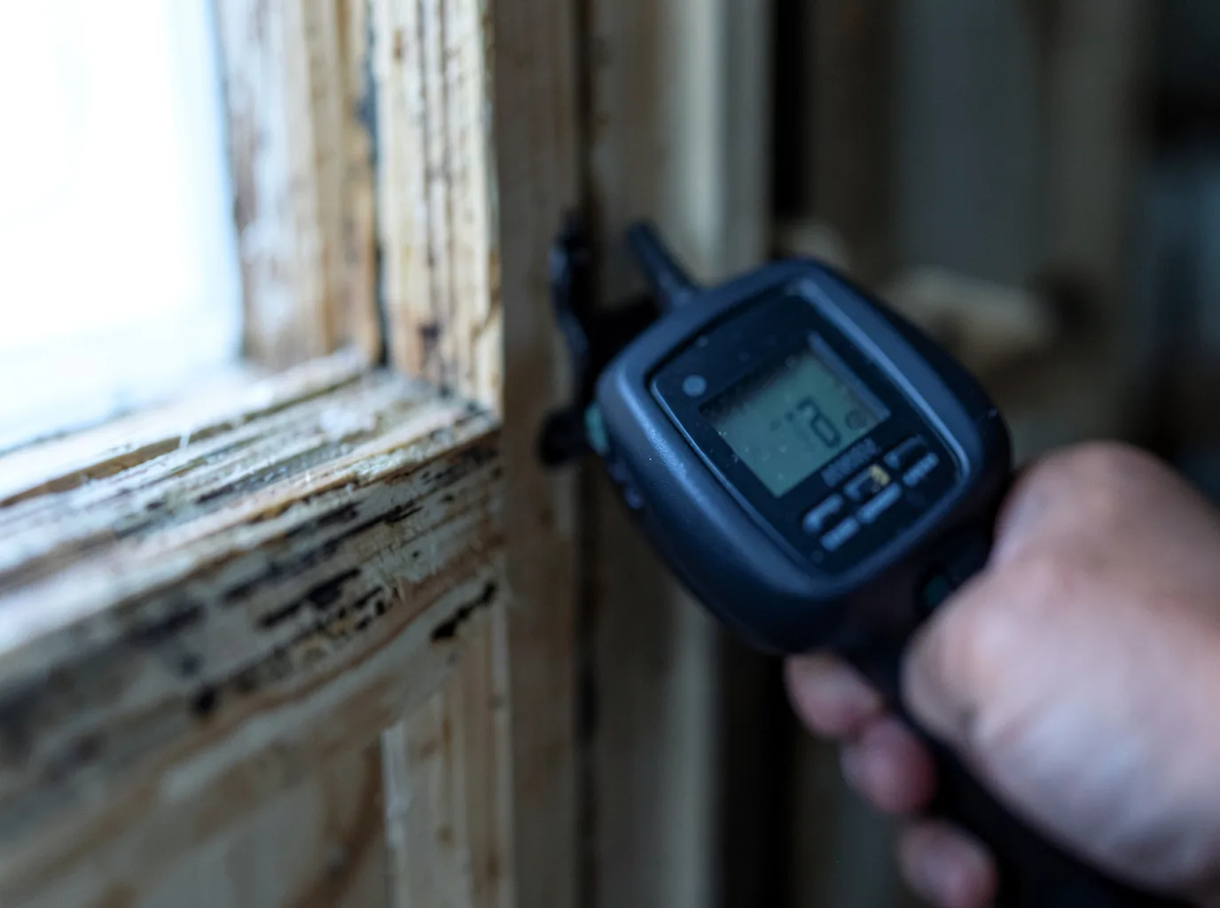 Moisture Inspection And Documentation in Healy, KS